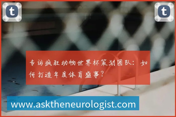 专访疯狂动物世界杯策划团队:如何打造年度体育盛事?